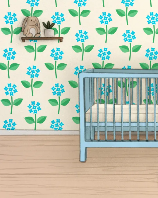Blue Hydrangea Garden Flowers Nursery