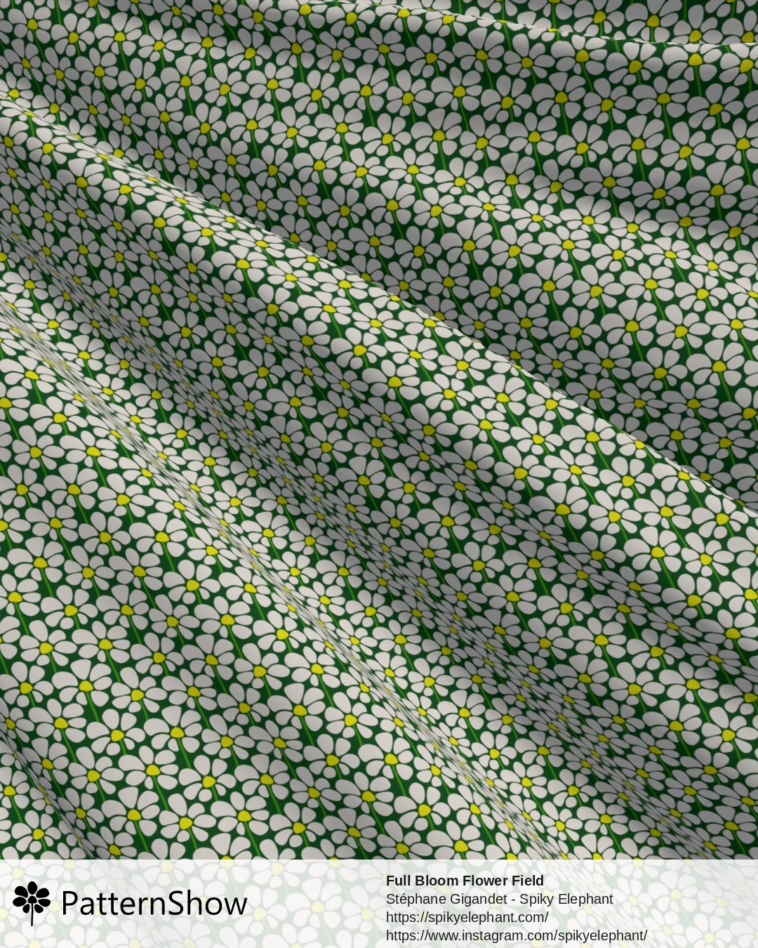 Full Bloom Flower Field - White on Grass Green