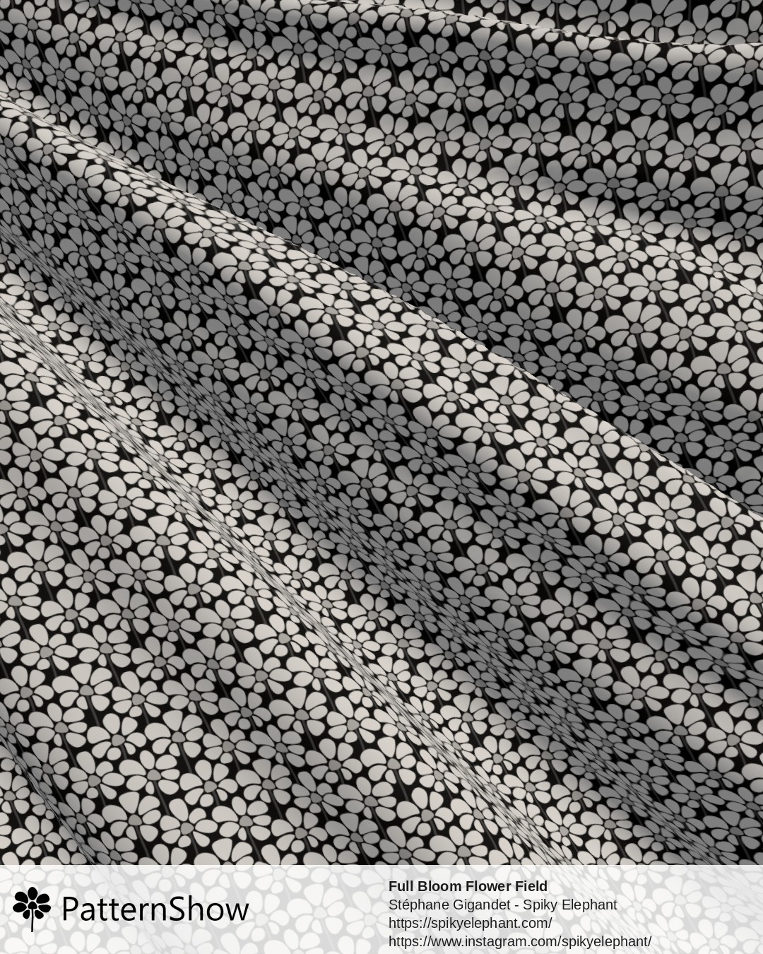 Full Bloom Flower Field - White and Black