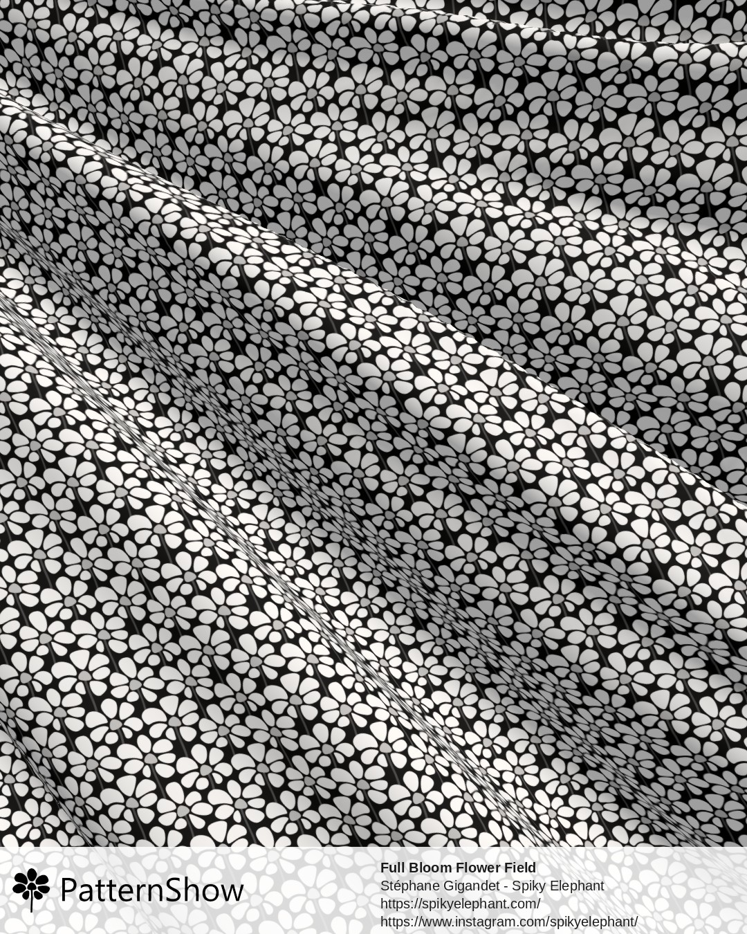 Full Bloom Flower Field - White and Black