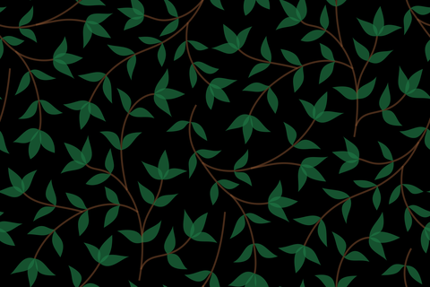 Oasis Green Black