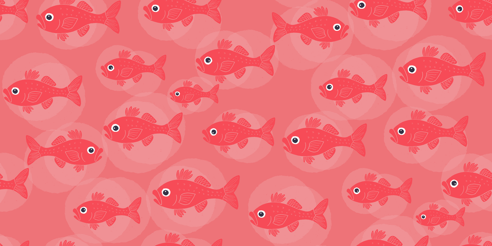 Coral Reef