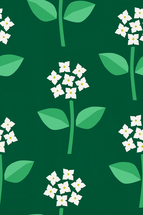 White Forest Green