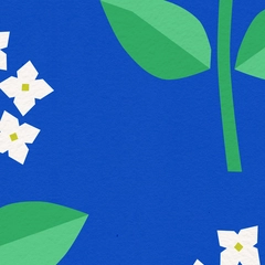 XL thumbnail