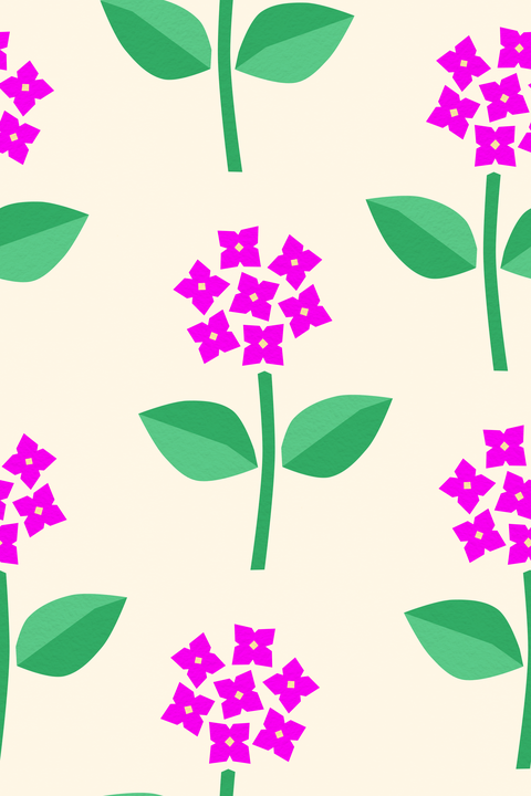 Hot Pink Green Butter Cream