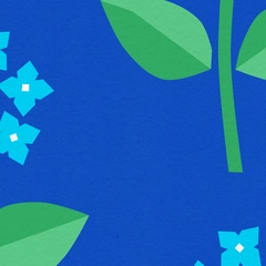 XL thumbnail