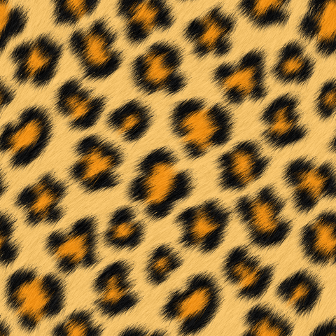 Black Brown Orange Tan Large