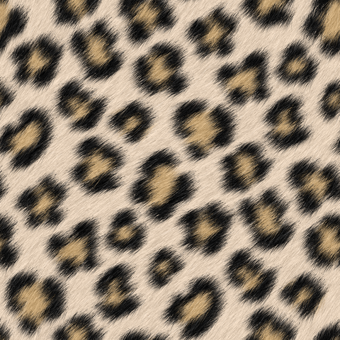 Black Brown Beige Cream Large