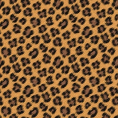 S thumbnail
