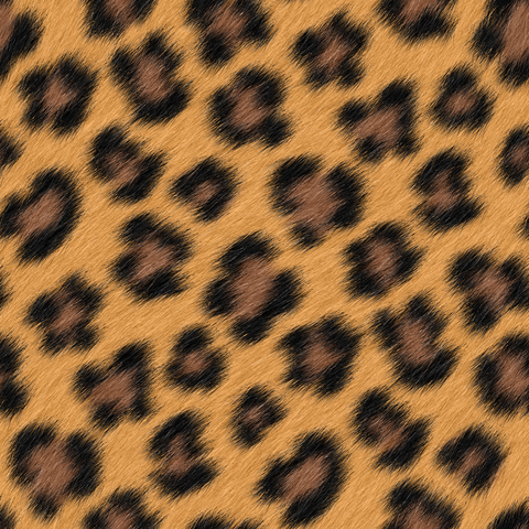 Black Brown Camel Tawny Large