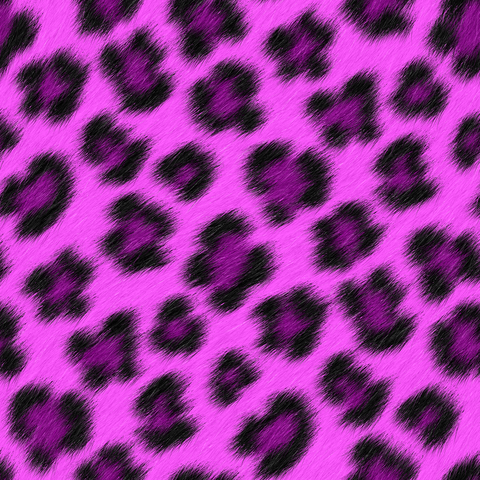 Black Violet Hot Pink Large
