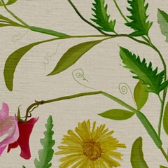 Trailing wild flowers - multicolor