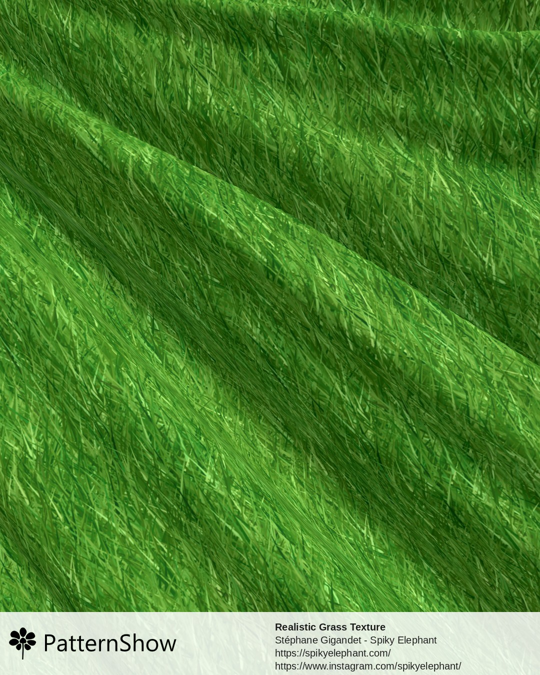 Realistic Grass Texture - Dark Green