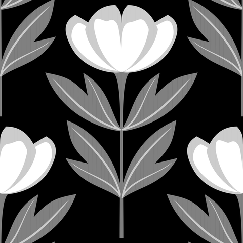 Grey White Peony Flowers Striking Black
