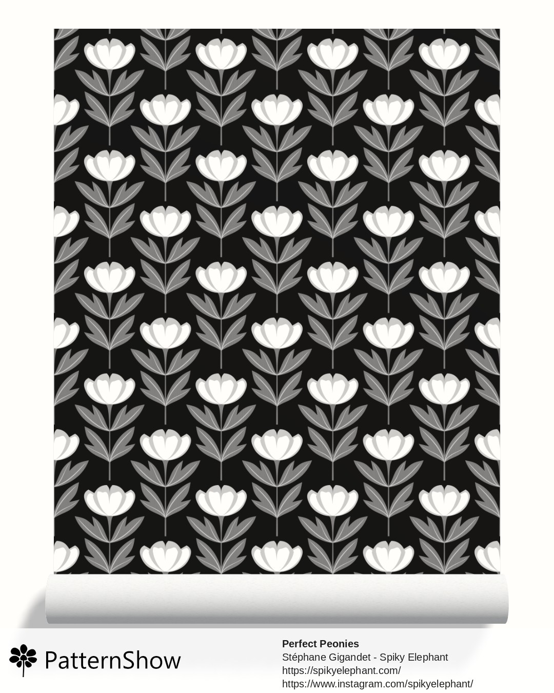 Perfect Peonies wallpaper - Grey White Peony Flowers Striking Black