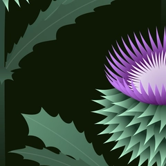 Scottish Thistle Country Club - Purple Pink Dark Sage Green