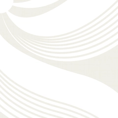 Etoile de Jouy Abstract Flower Stars Modern Toile - Ivory White Subtle Snow Eggshell Cream