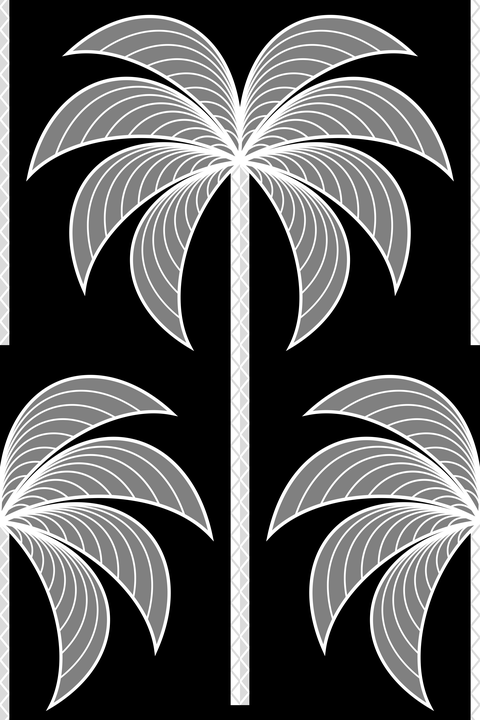 Black and White