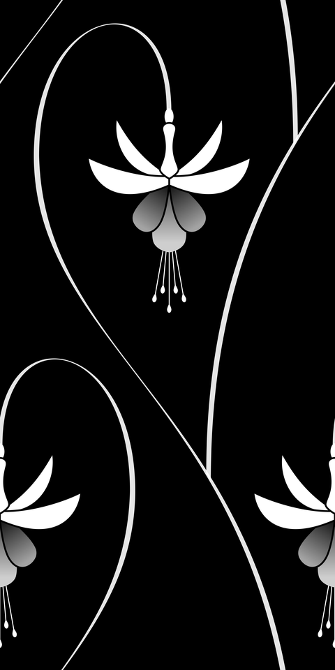 White and Black - White Flowers