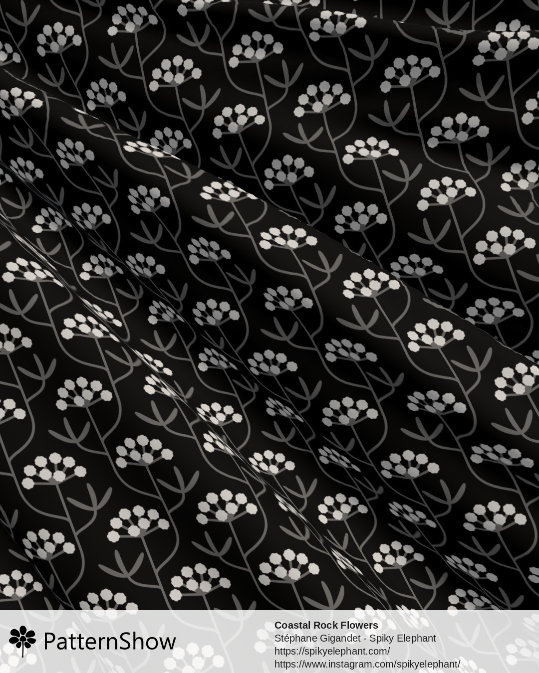 Coastal Rock Flowers - coastal-rock-flowers.black-white-grey.3600x5400