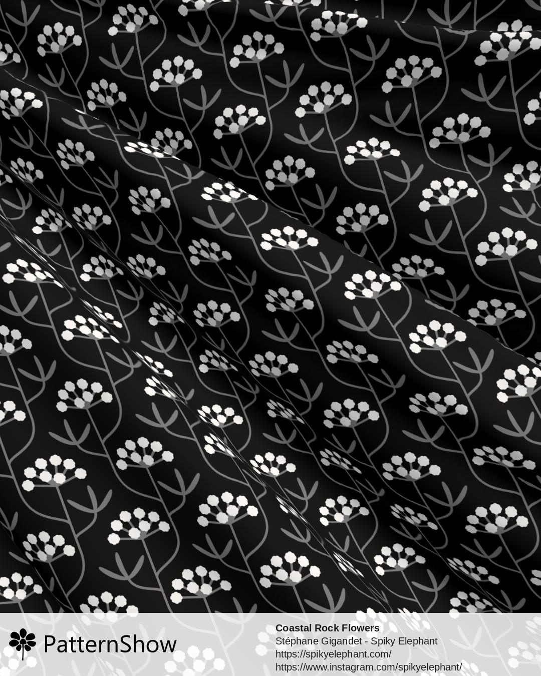 Coastal Rock Flowers - coastal-rock-flowers.black-white-grey.3600x5400