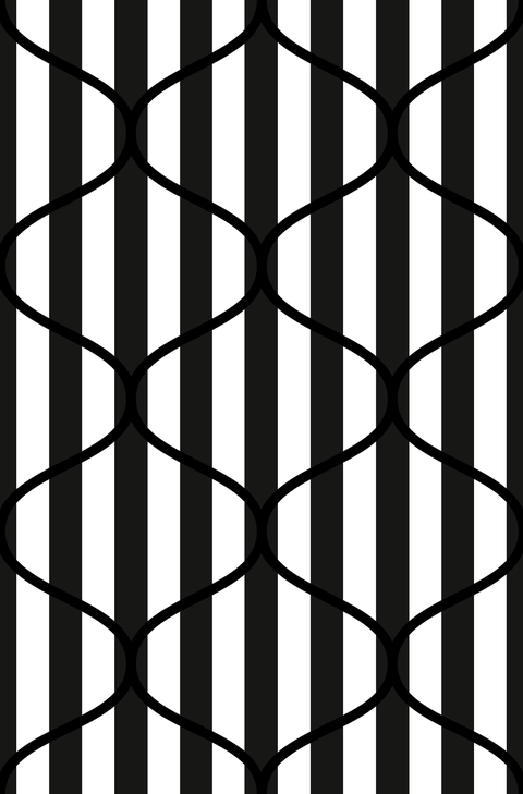 Black and White Inverse
