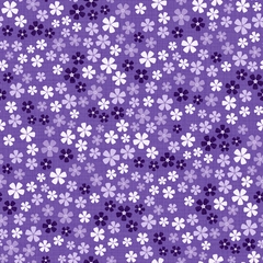 XS thumbnail