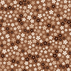 XS thumbnail