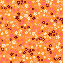 XS thumbnail