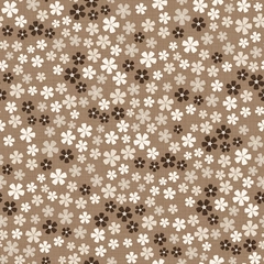 XS thumbnail