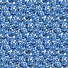 XXS thumbnail
