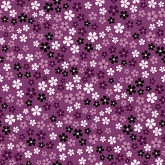XS thumbnail