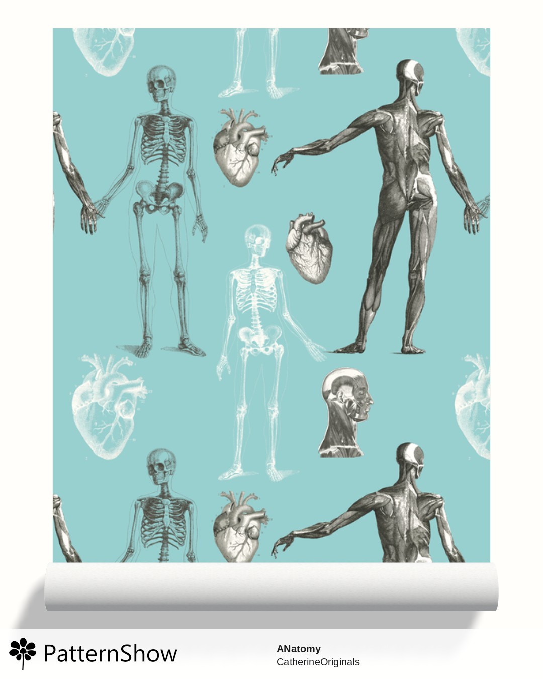 ANatomy wallpaper - ANATOMY aquasmall