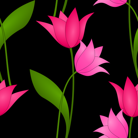 Magenta Red Rose Pink on Black