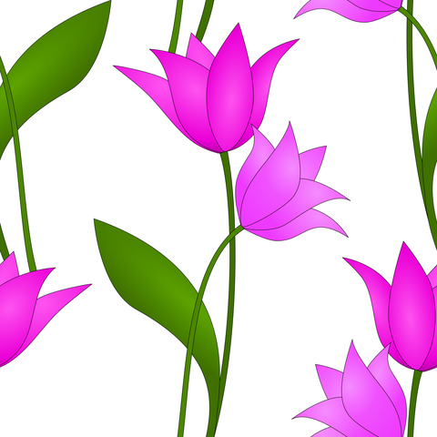 Purple Mauve Pink Violet on White