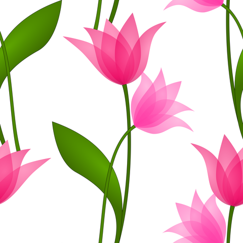 Transparent Red Pink Fuschia on White