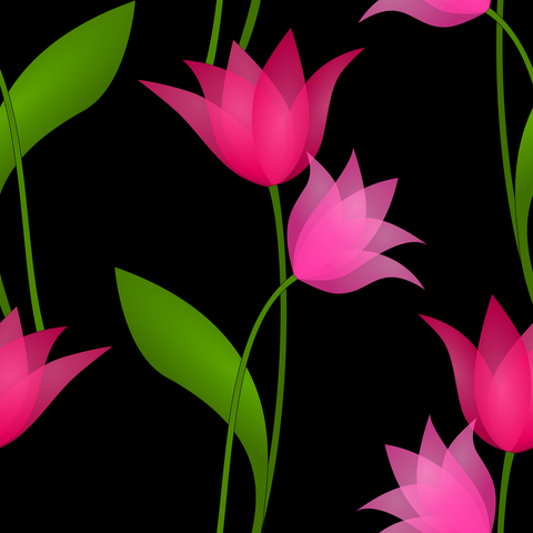 Transparent Red Pink Fuschia on Black