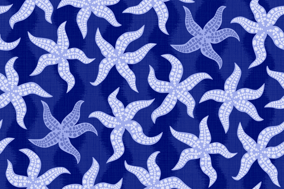 Indigo Ocean Blue Shades