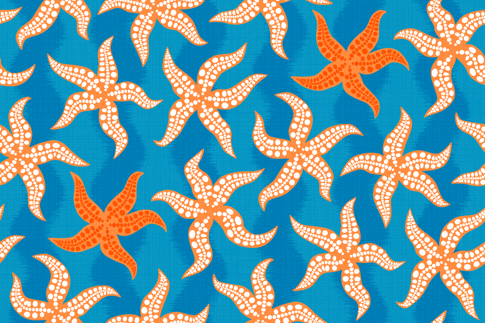 Orange White Aqua Turquoise Blue