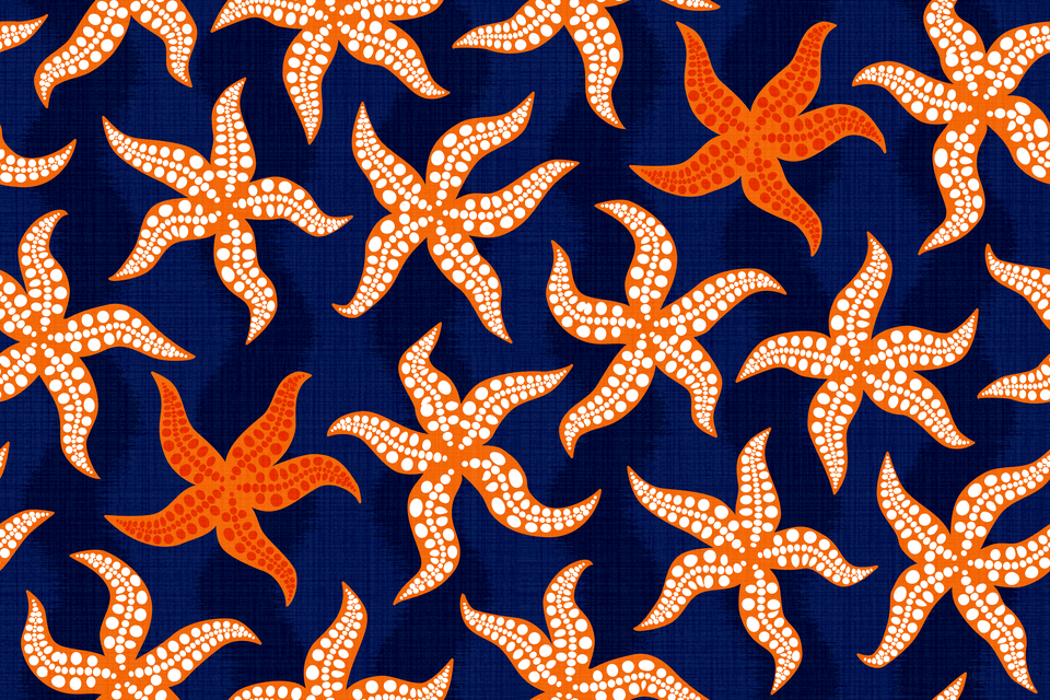 Bright Orange White Dark Navy Blue