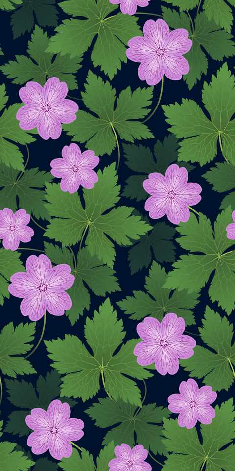 Pink Flowers Dark Navy Blue Background