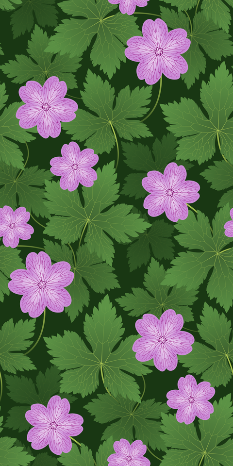 hardy-geraniums.pink-green-background.3600x7200