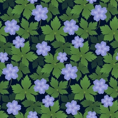 Romantic Hardy Geranium Cranesbill Flowers with Delicate Leaves - Blue Flowers Dark Navy Blue Background