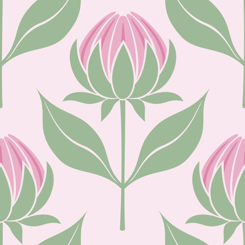 budding-dahlias.pink-cream.3600x3600