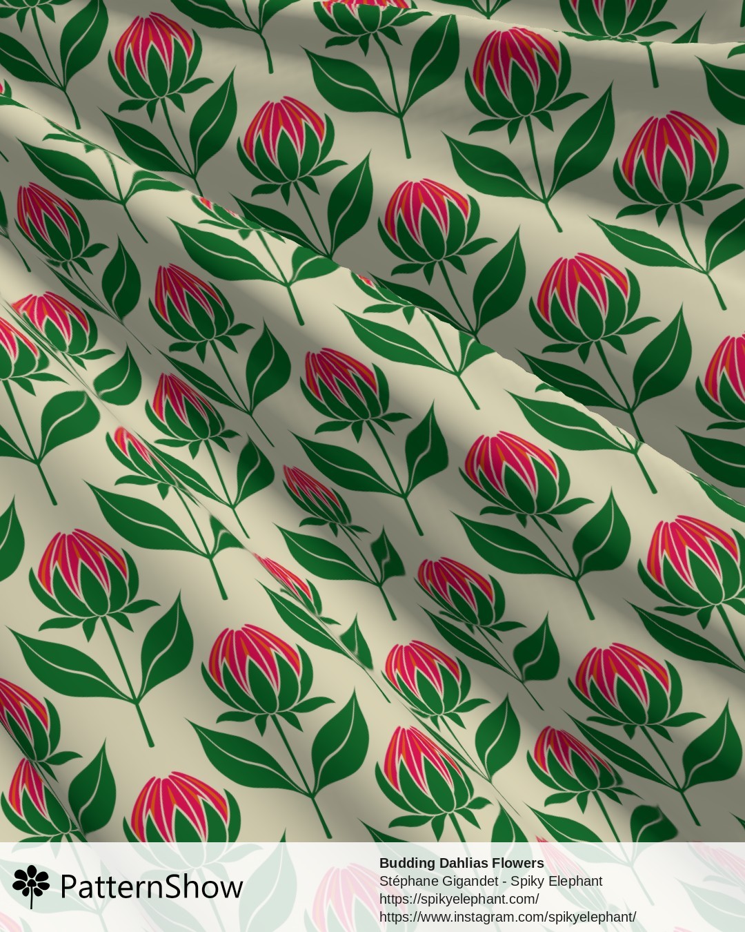 Budding Dahlias Flowers - budding-dahlias.pink-orange-yellow-cream.3600x3600