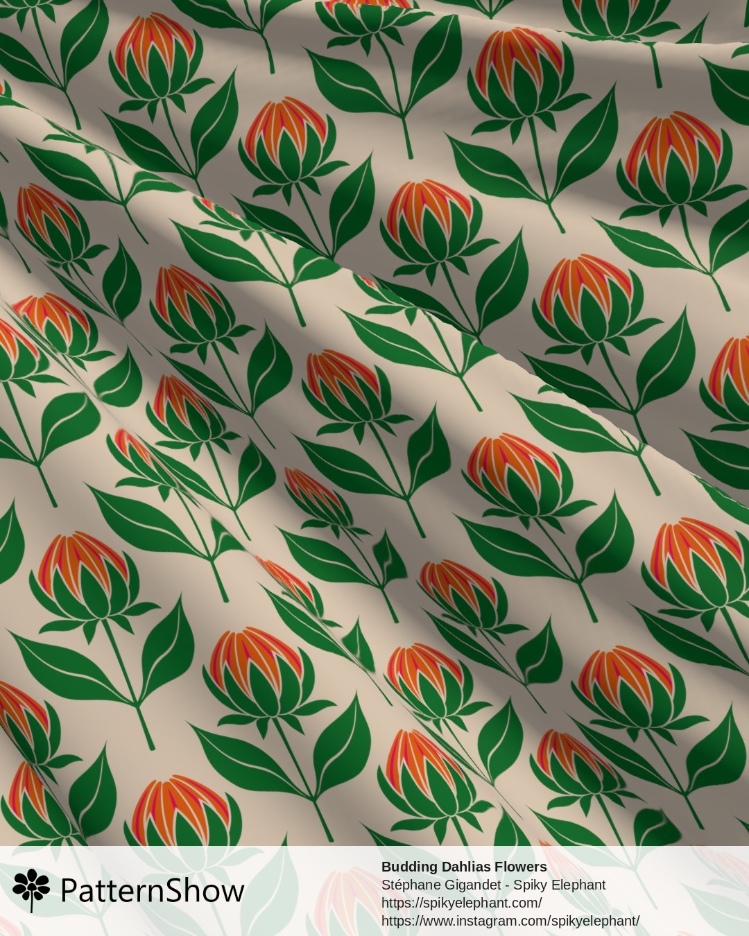 Budding Dahlias Flowers - budding-dahlias.orange-pink-peach-cream.3600x3600