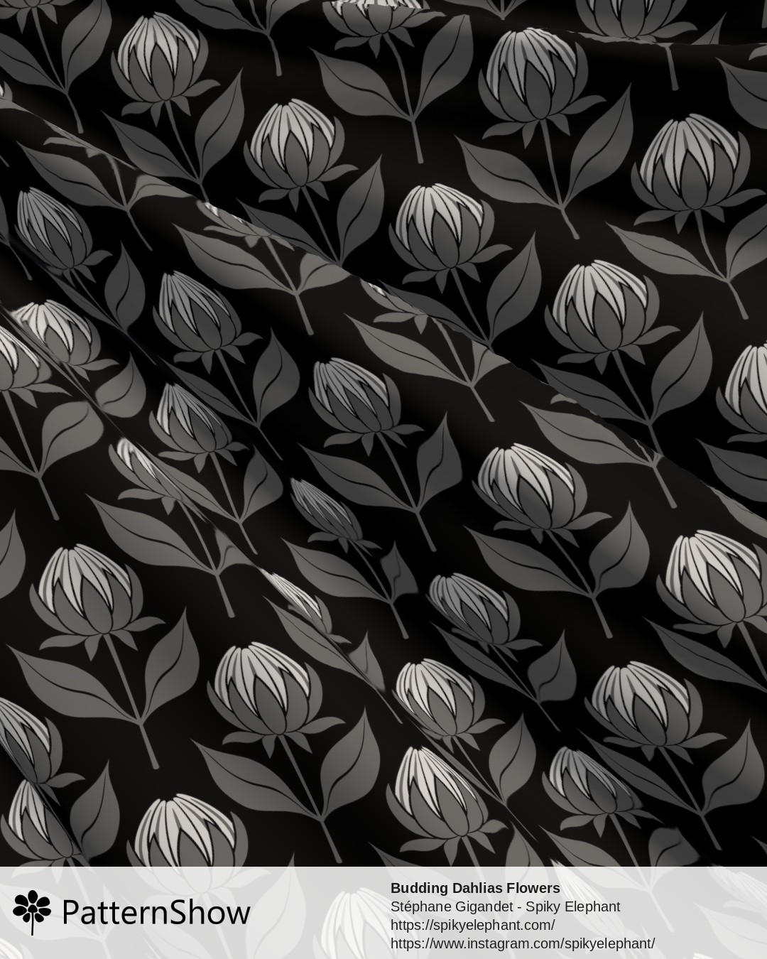 Budding Dahlias Flowers - budding-dahlias.black-white-grey.3600x3600