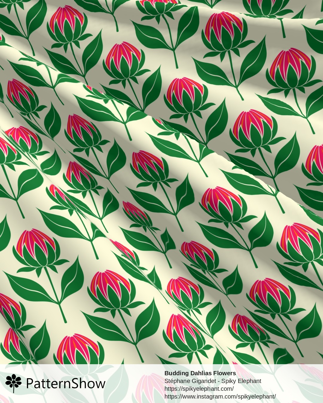 Budding Dahlias Flowers - budding-dahlias.pink-orange-yellow-cream.3600x3600