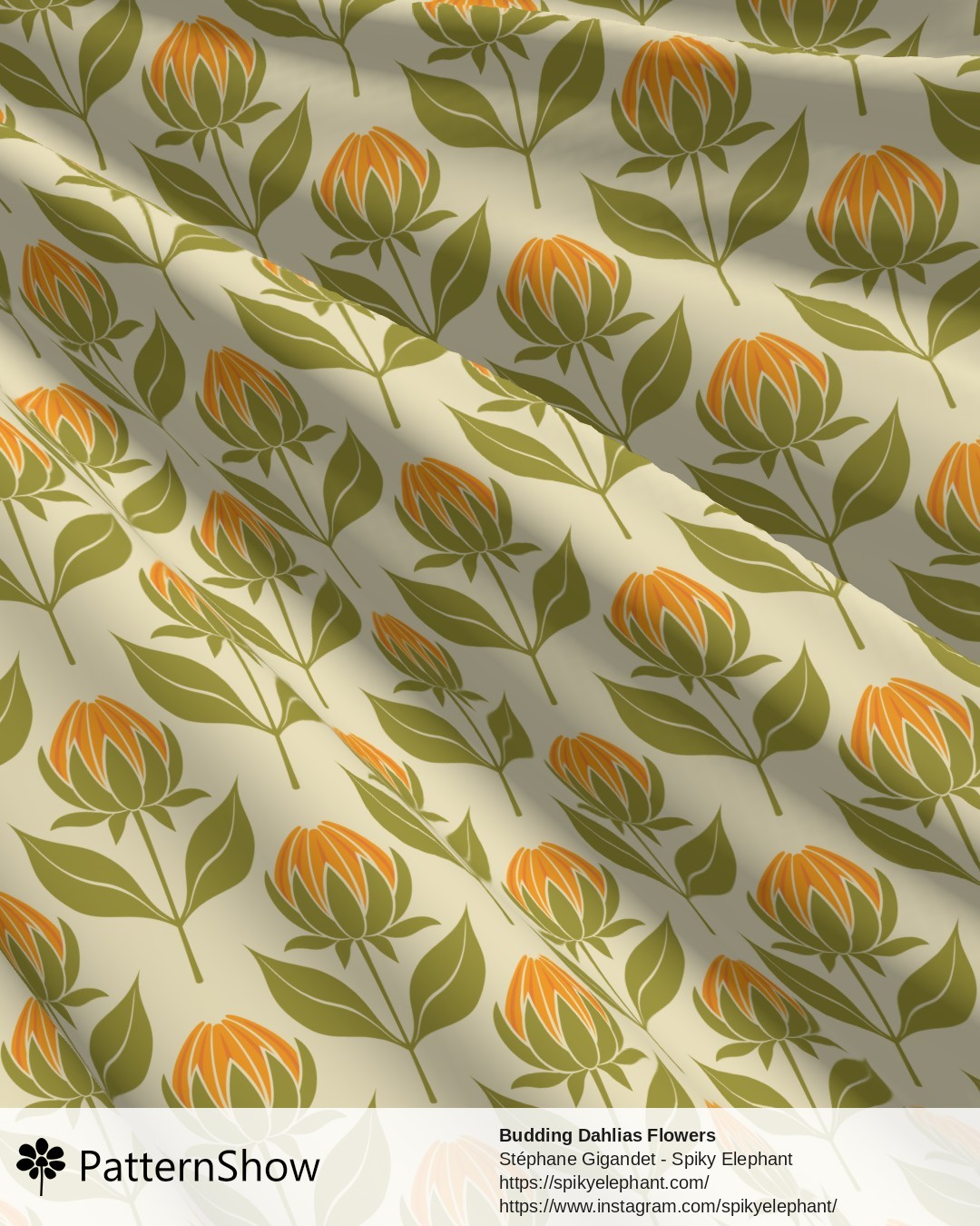 Budding Dahlias Flowers - budding-dahlias.orange-yellow-cream.3600x3600