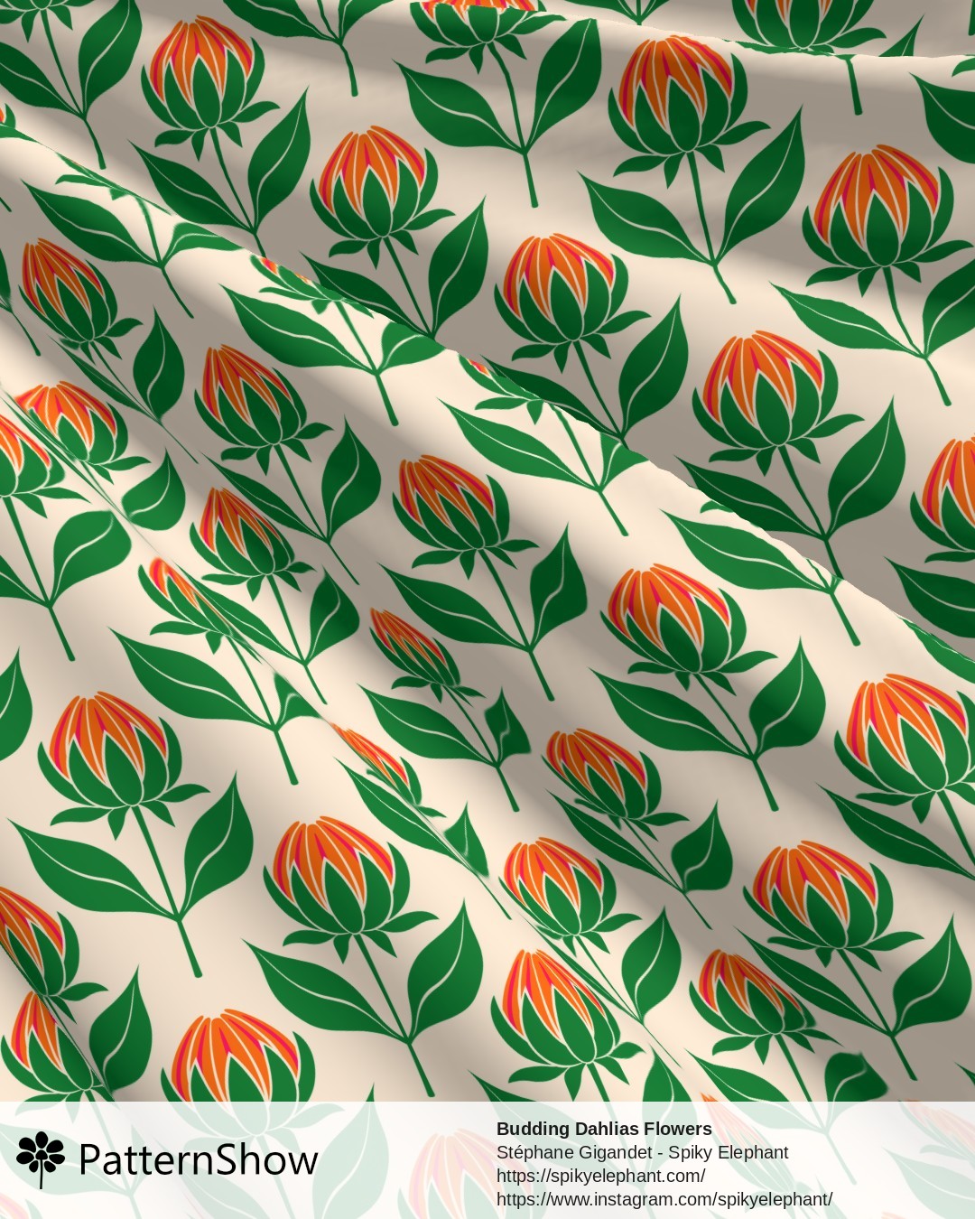 Budding Dahlias Flowers - budding-dahlias.orange-pink-peach-cream.3600x3600
